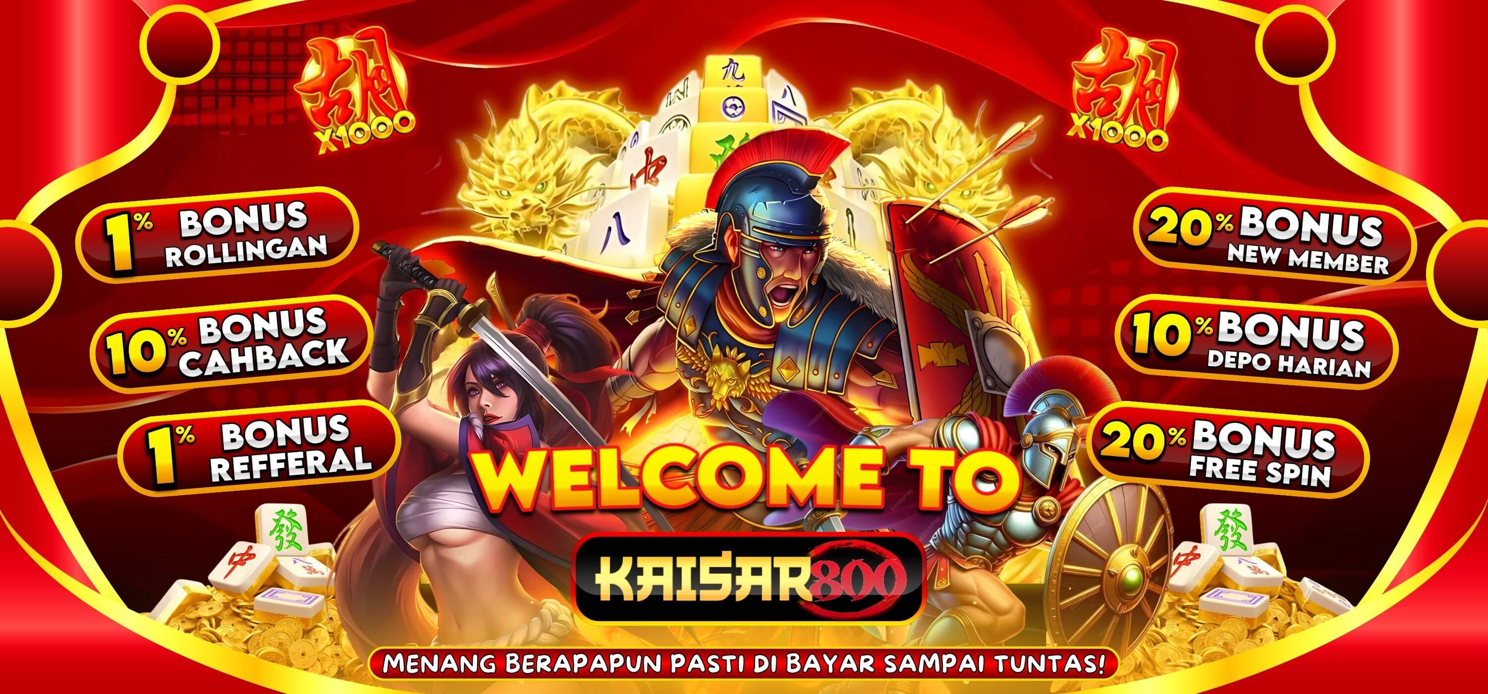 KAISAR800-PROMO